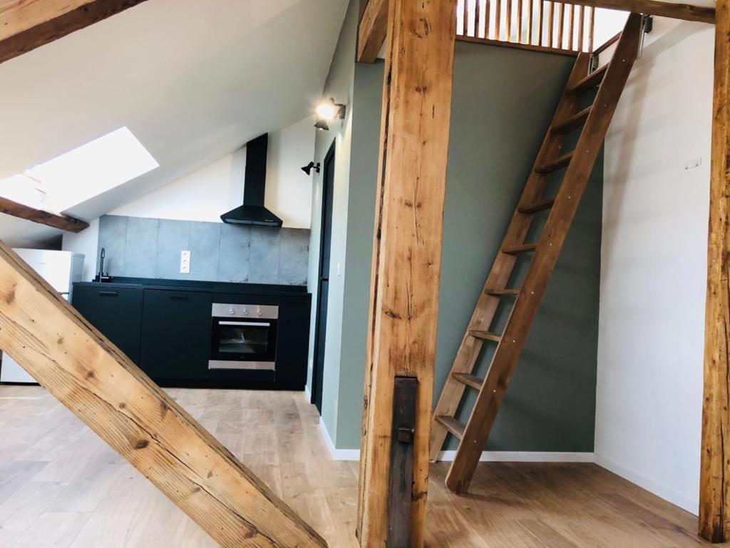 Les Appartements De Romain Et Julien Ντιζόν Εξωτερικό φωτογραφία