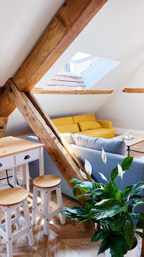 Les Appartements De Romain Et Julien Ντιζόν Εξωτερικό φωτογραφία