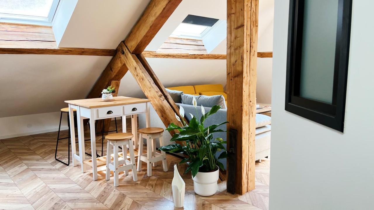 Les Appartements De Romain Et Julien Ντιζόν Εξωτερικό φωτογραφία