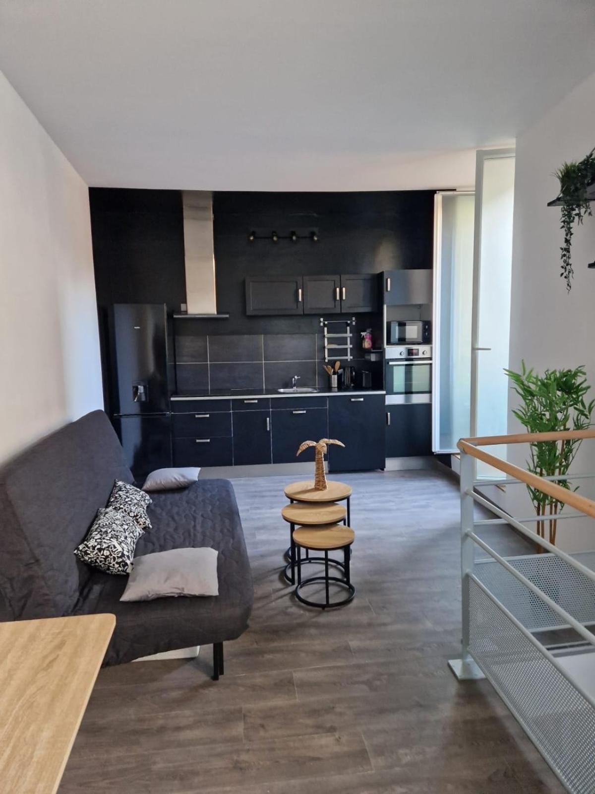 Les Appartements De Romain Et Julien Ντιζόν Εξωτερικό φωτογραφία