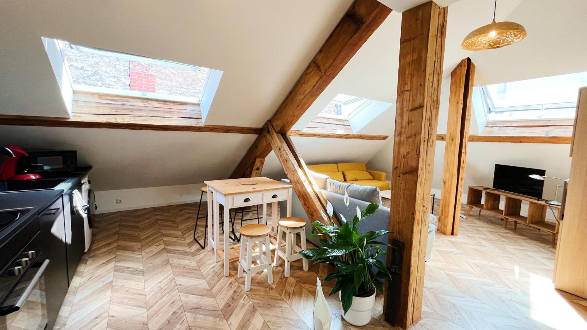 Les Appartements De Romain Et Julien Ντιζόν Εξωτερικό φωτογραφία