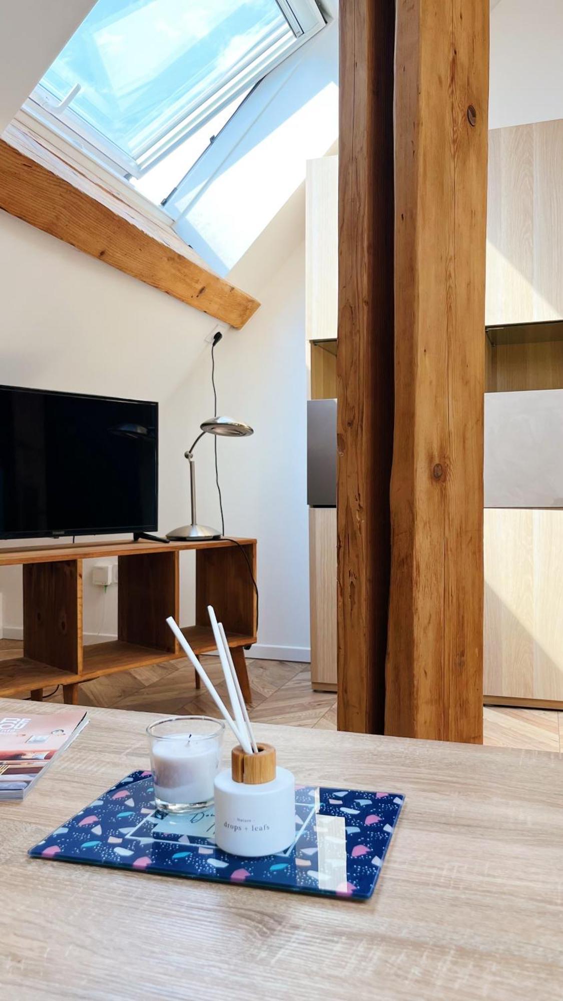 Les Appartements De Romain Et Julien Ντιζόν Εξωτερικό φωτογραφία