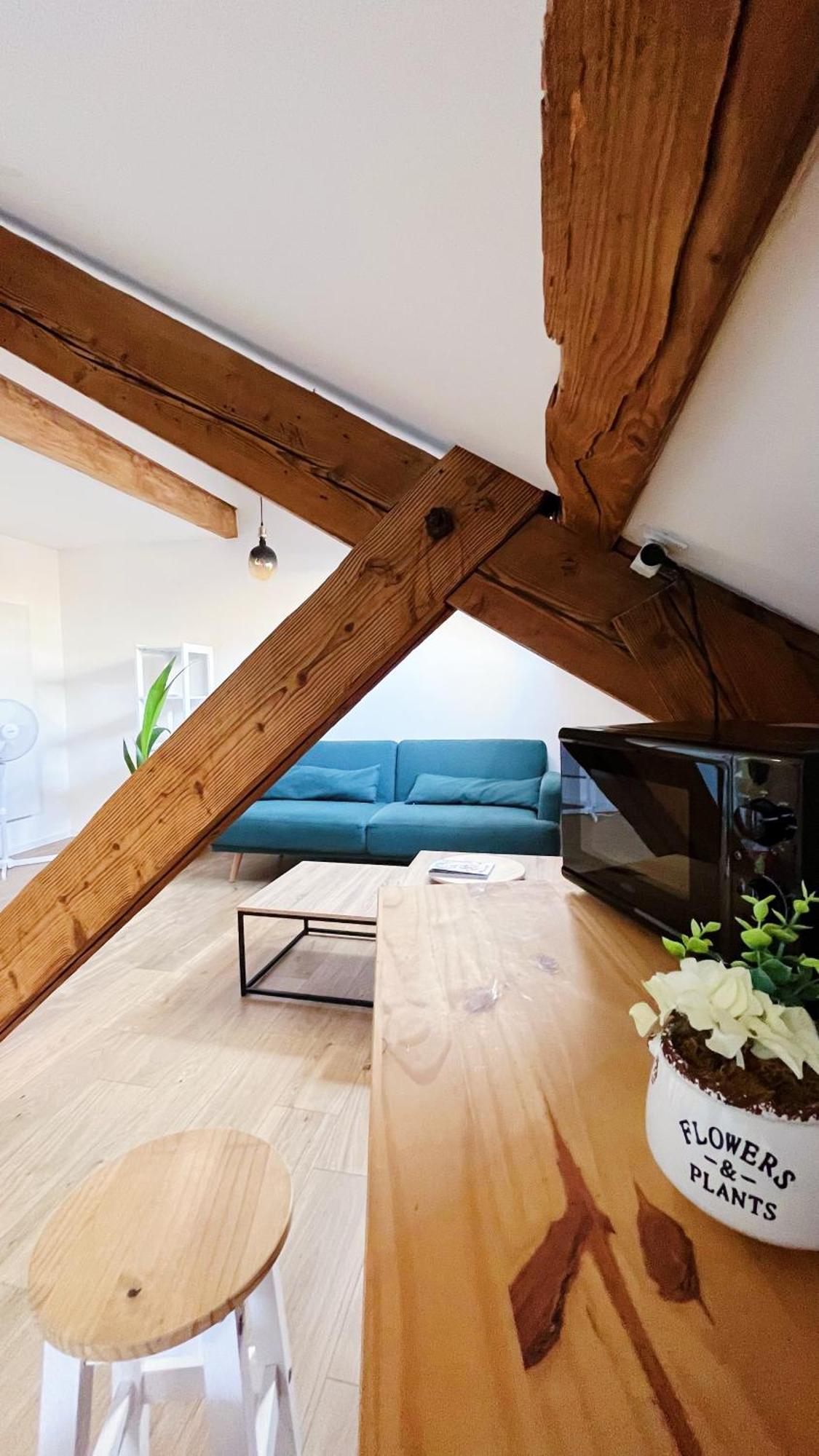 Les Appartements De Romain Et Julien Ντιζόν Εξωτερικό φωτογραφία
